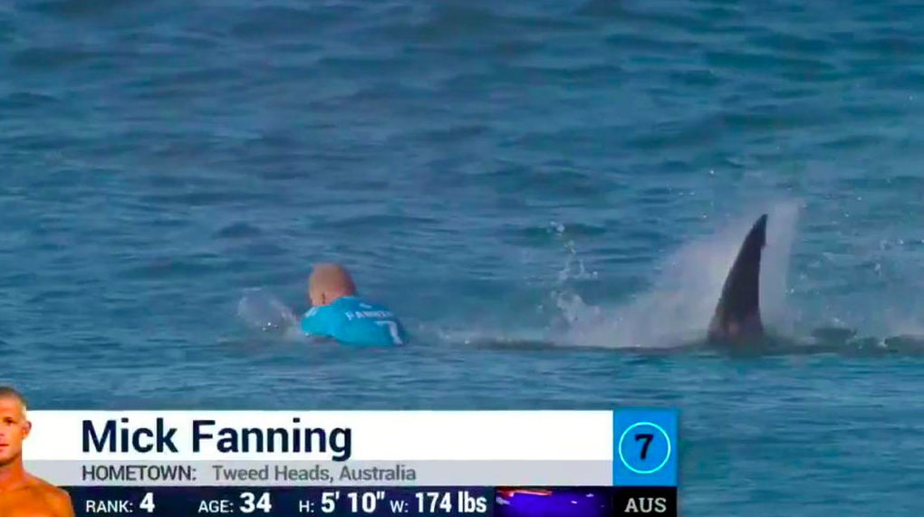 Mick Fanning Attacked By Shark At J-Bay Open
