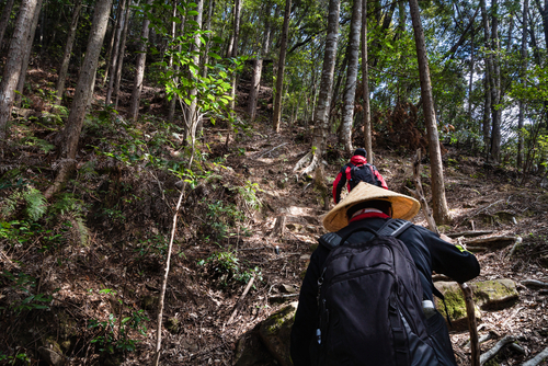 熊野古道の画像