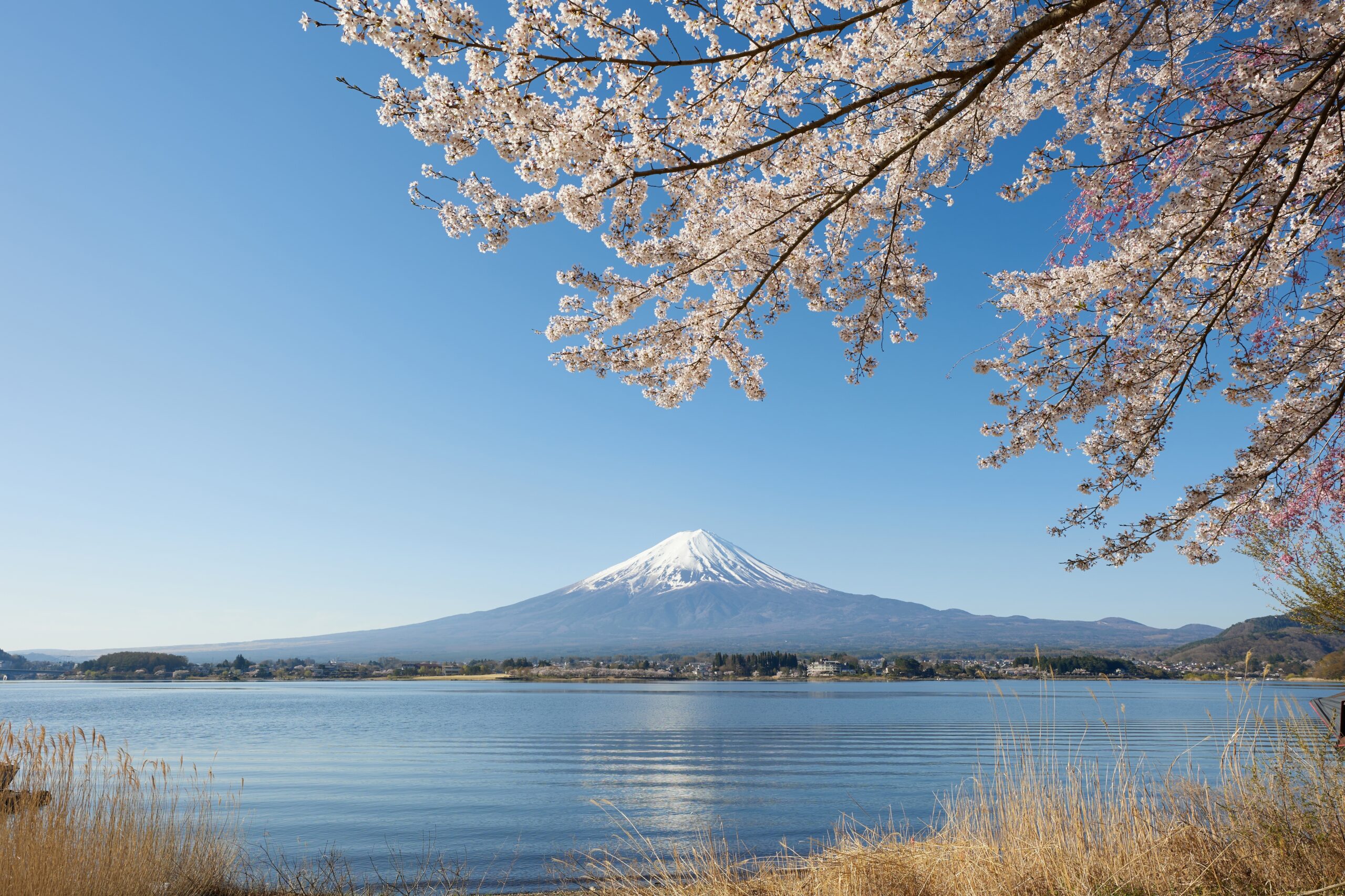 富士山